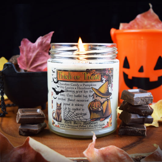 Trick or treat Halloween chocolate and pumpkin spice scented soy candle